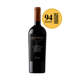 Icono Tapihue 2015