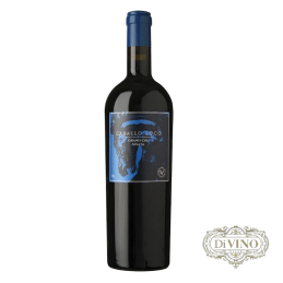 Caballo Loco Azul Gran Cru Apalta, 750cc