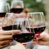 Vinos
