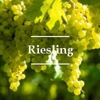 Cepa Riesling