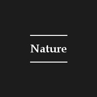 Espumantes Nature
